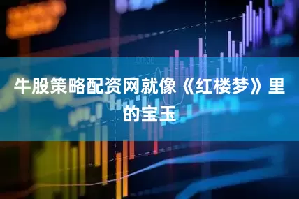 牛股策略配资网就像《红楼梦》里的宝玉