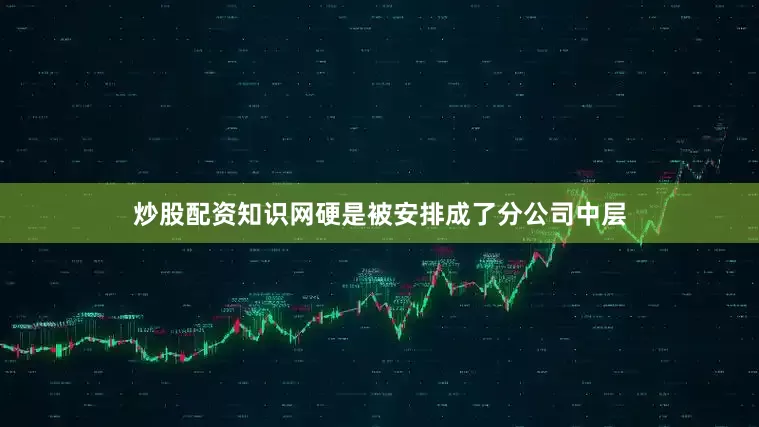 炒股配资知识网硬是被安排成了分公司中层